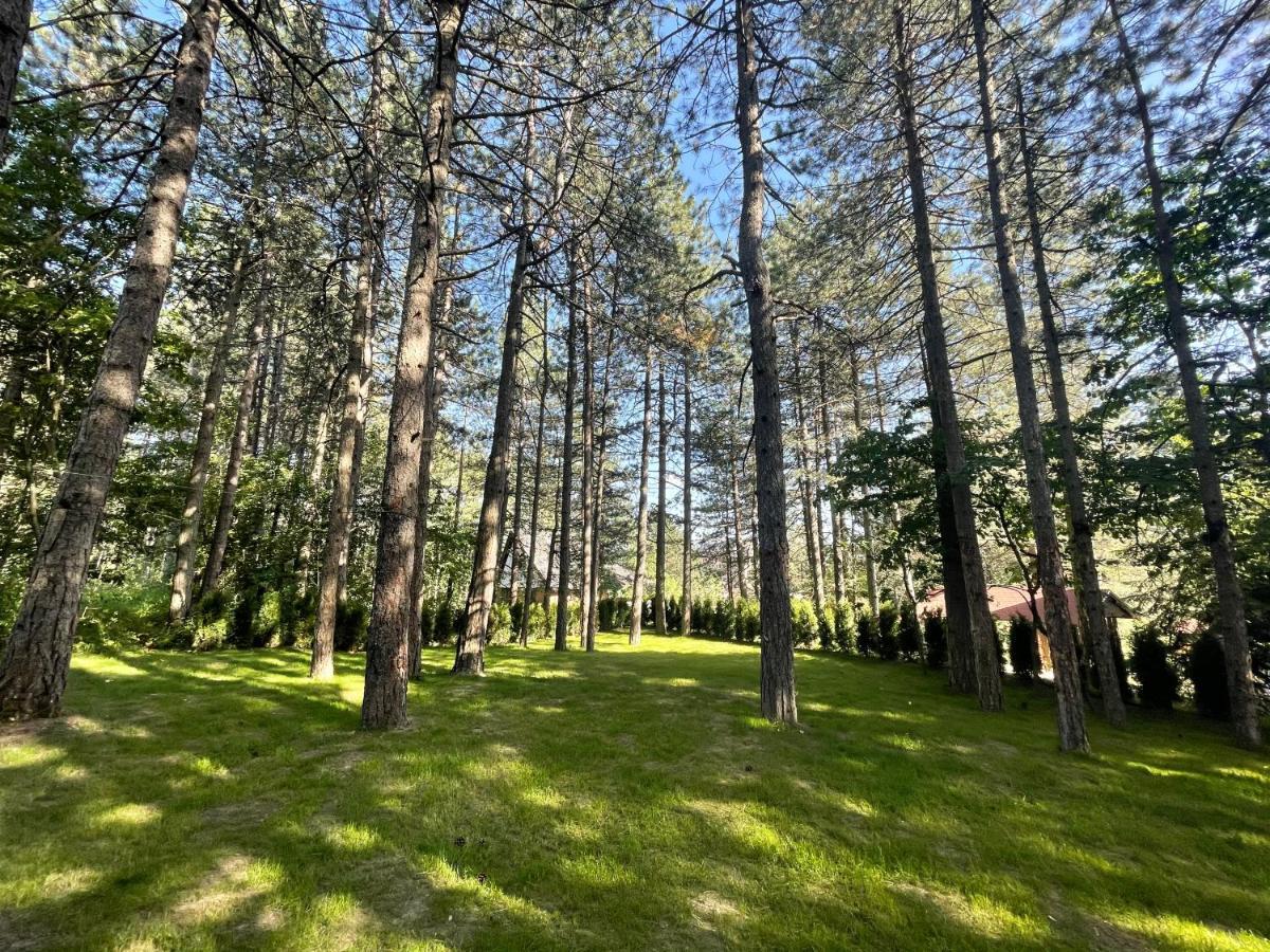 Apartments Micic Zlatibor Exterior foto